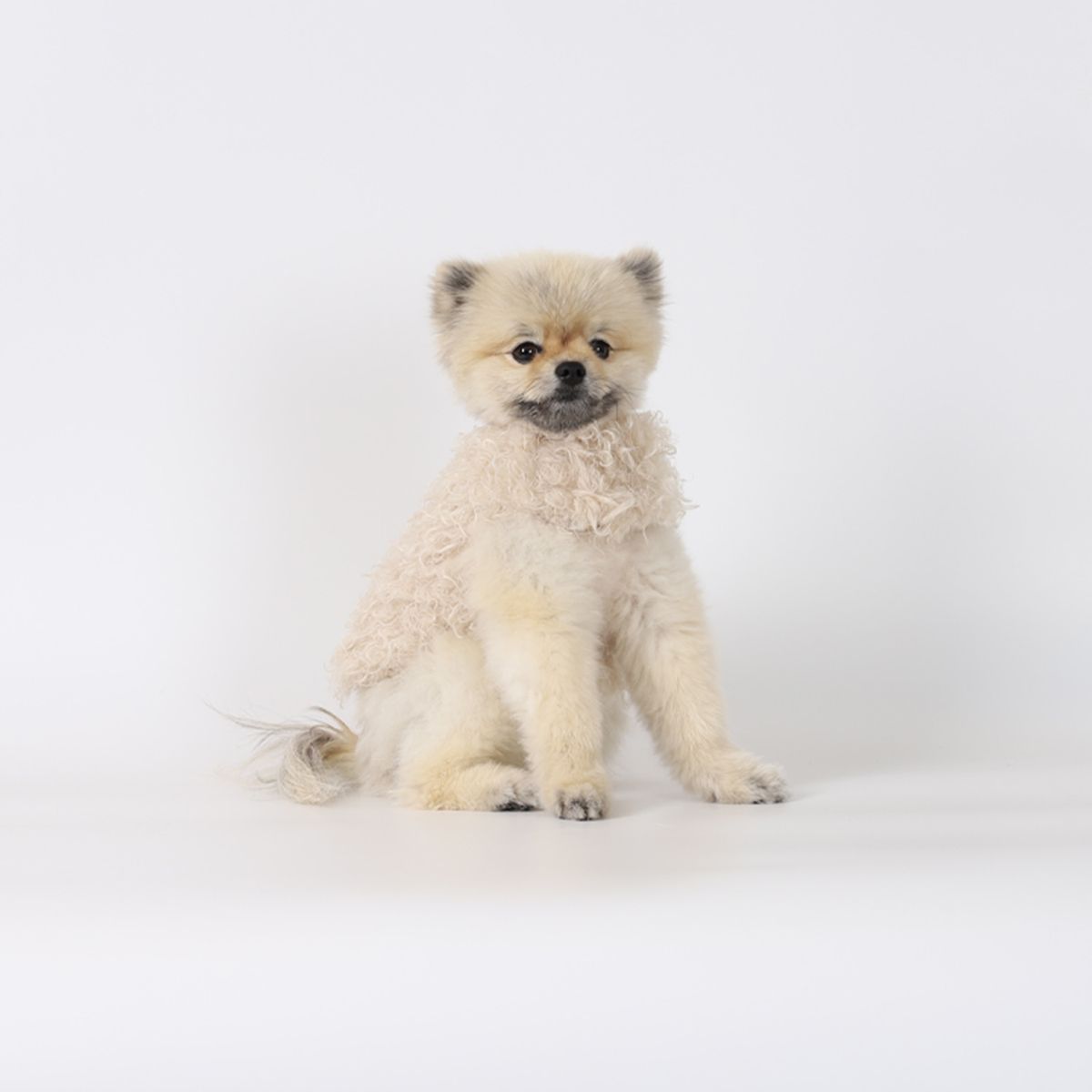 몽루(MONLOUP) 코쿤