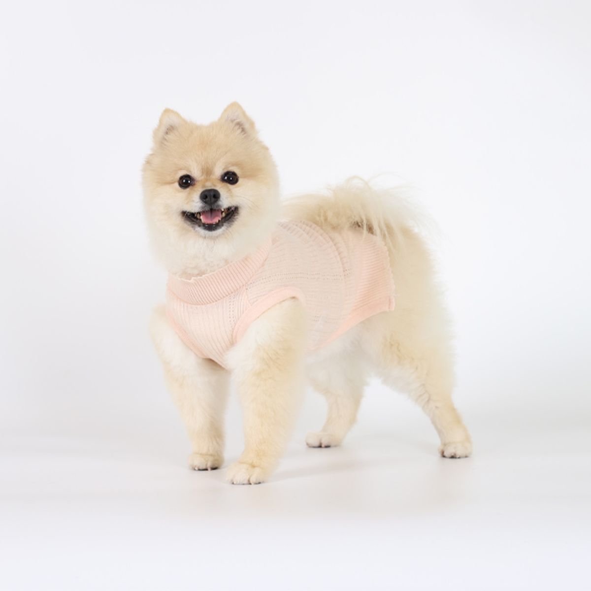 몽루(MONLOUP) 애슐리