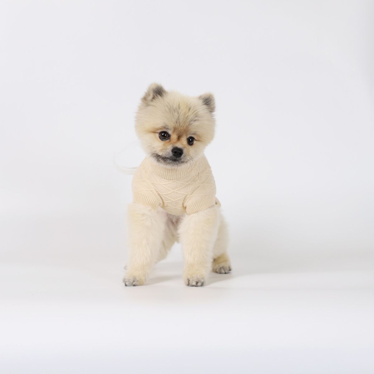 몽루(MONLOUP) 이스파한