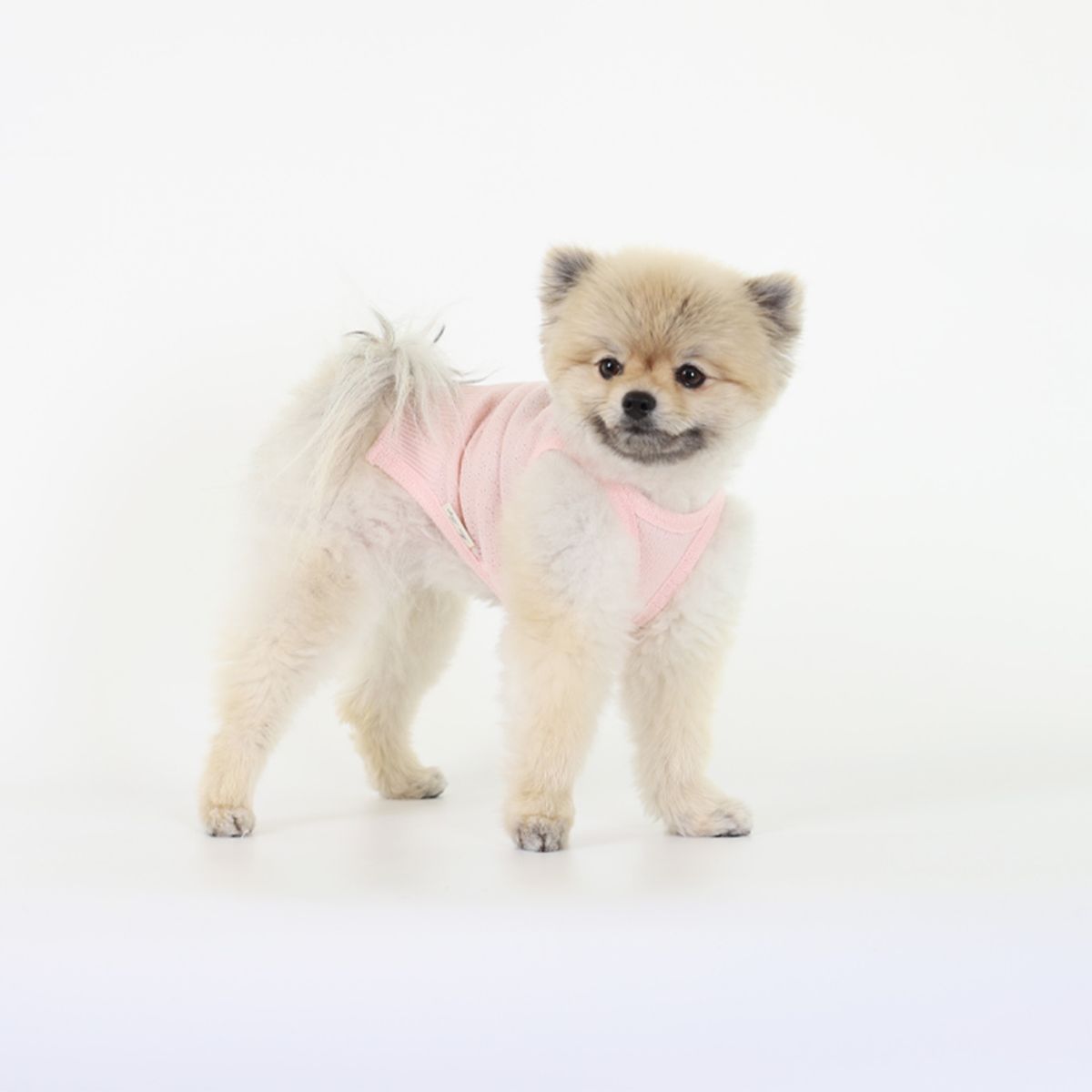 몽루(MONLOUP) 버즈아이