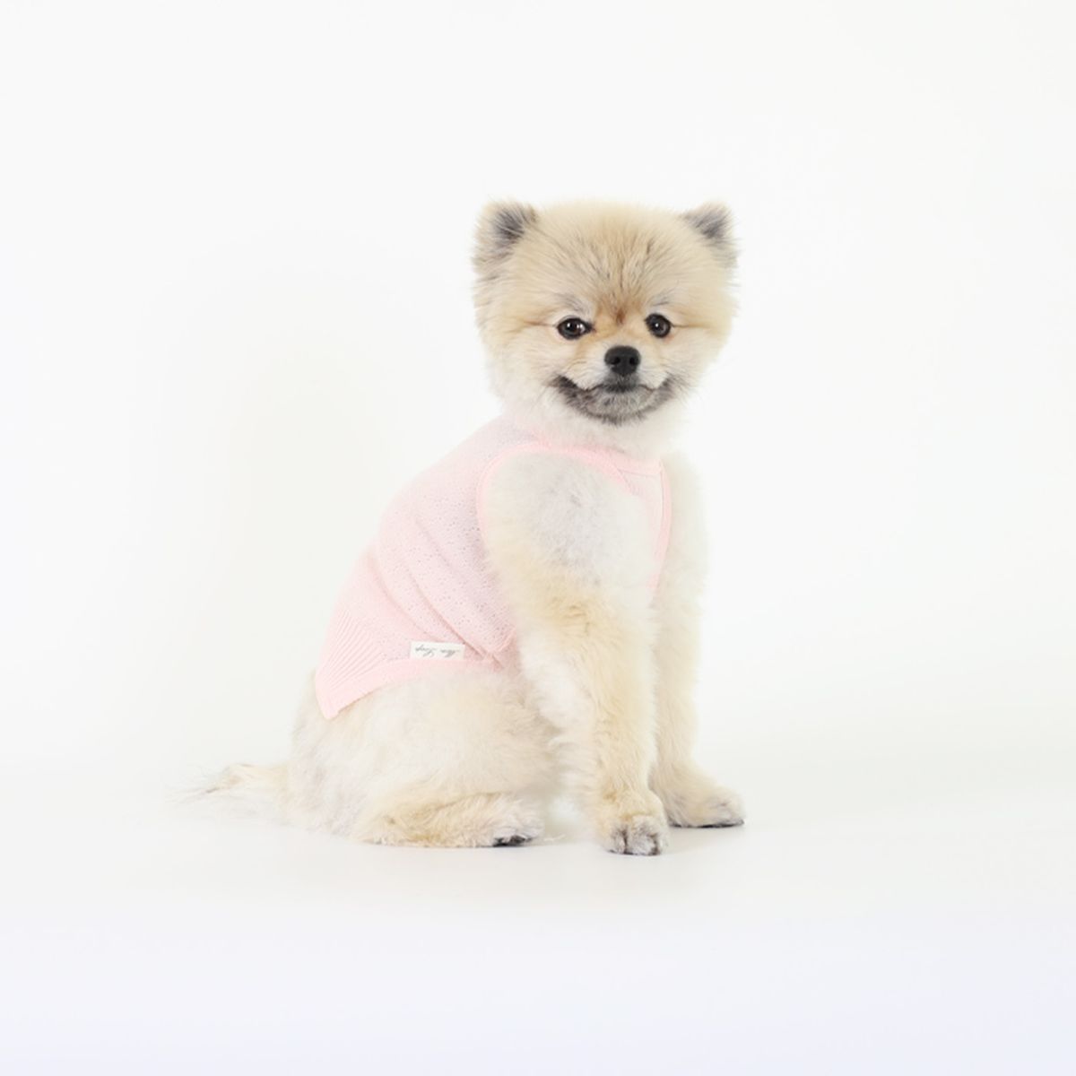 몽루(MONLOUP) 버즈아이