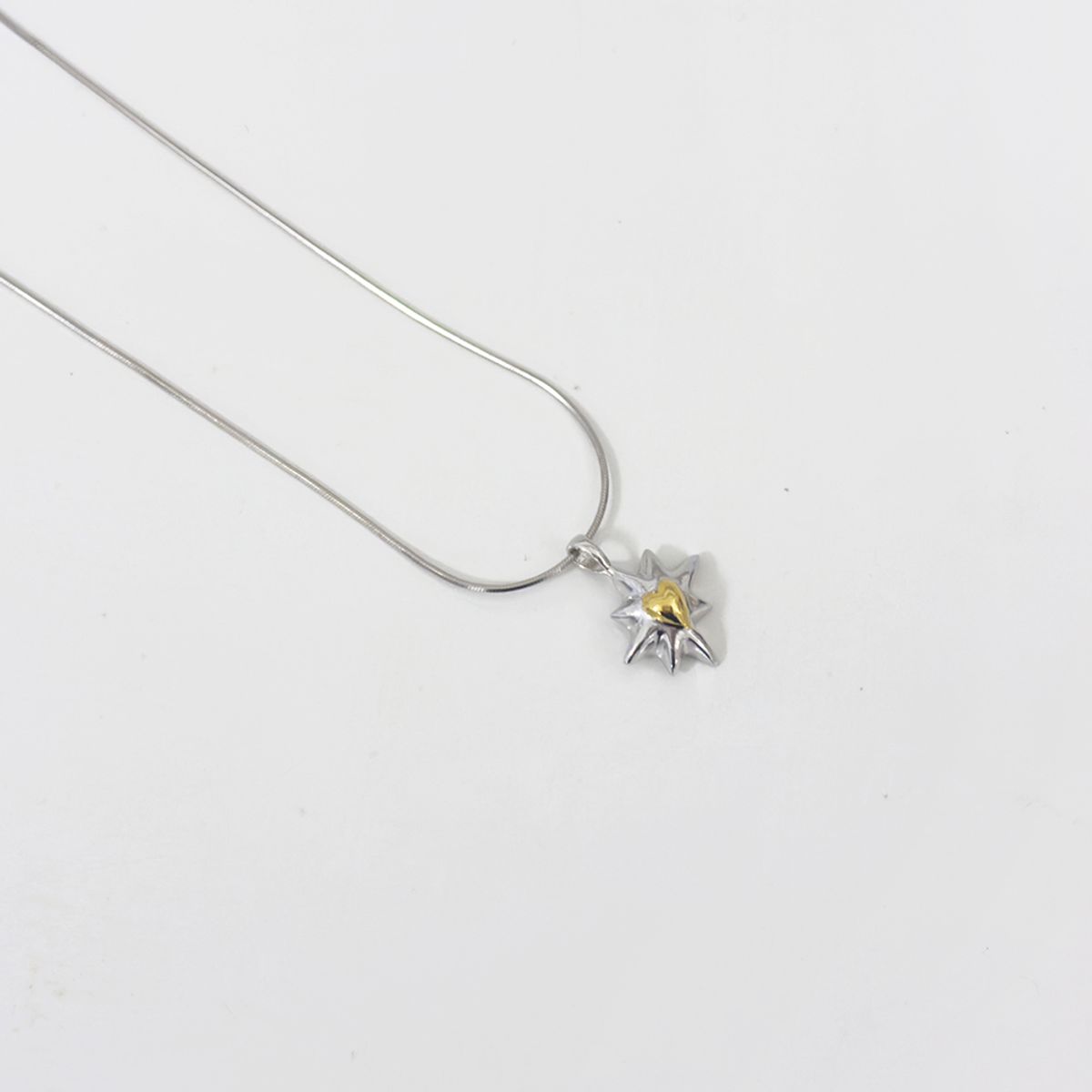스틸 인스턴트(STILL INSTANT) One Shining Moment - Necklace 06