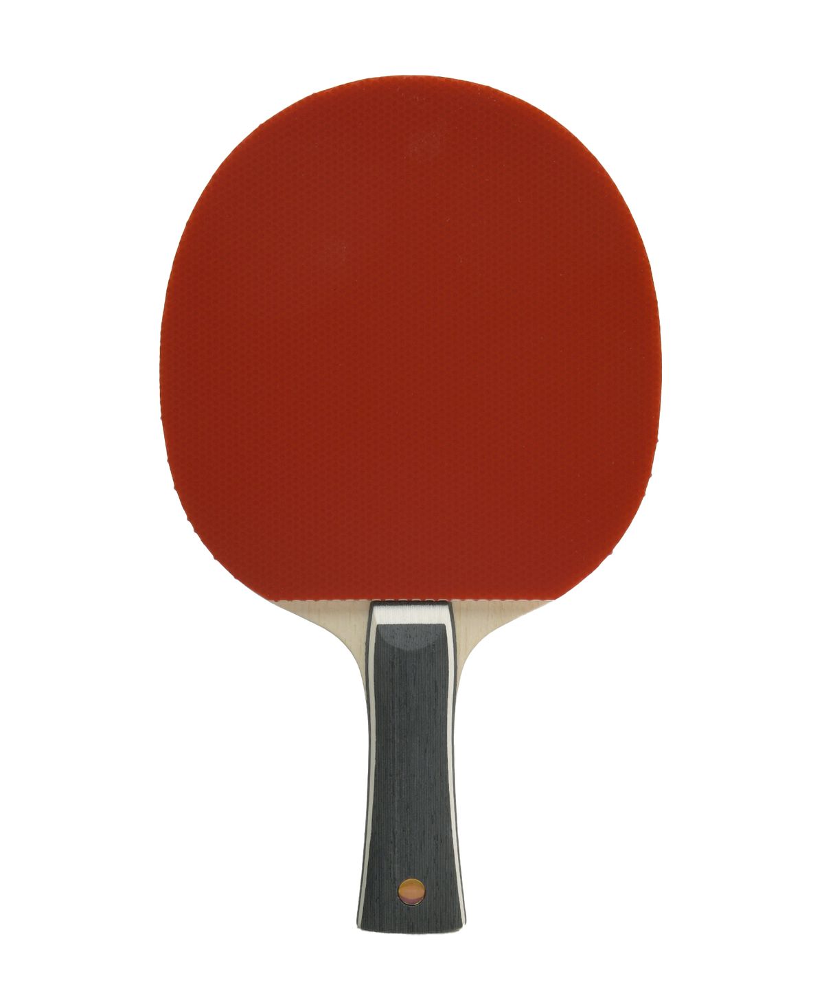 피지컬 디파트먼트(PHYSICAL DEPARTMENT) [PHYPS® x BUTTERFLY] PING PONG RACKET