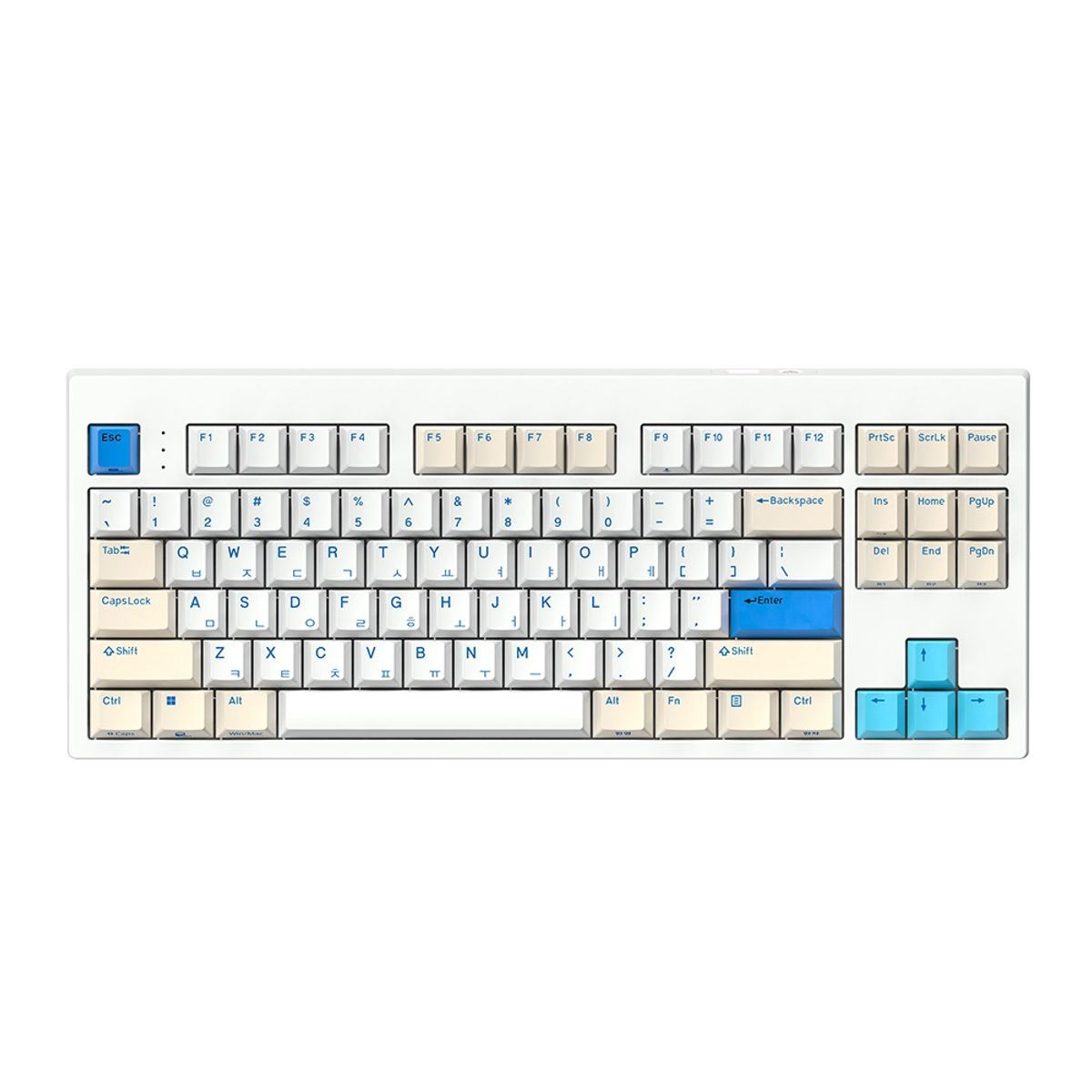 한성컴퓨터(HANSUNG COMPUTER) TFX GTO Wireless 듀얼무선 가스켓 윤활 기계식키보드 (게이트론 3.0/저소음윤활/멀티페어링)