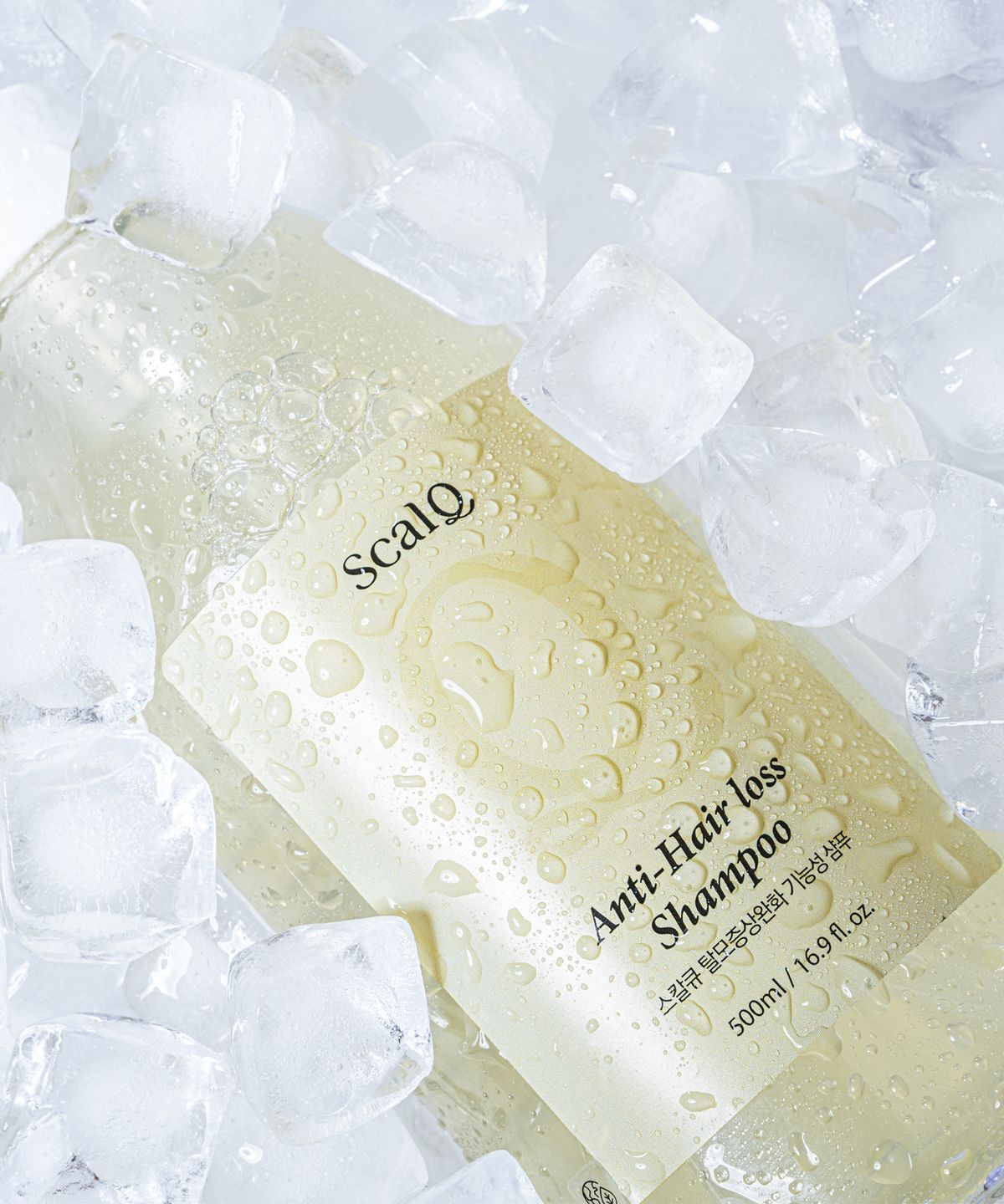 스칼큐(SCALQ) [2PACK] 비듬/가려움/탈모 완화 기능성 쿨 샴푸 500ml 2개