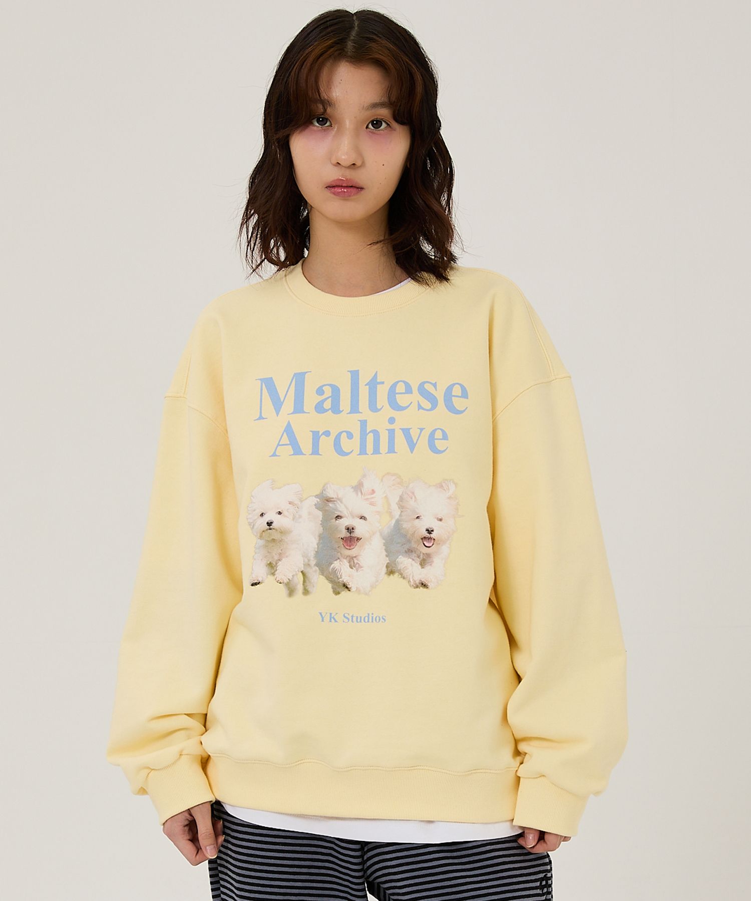 ★Wai Kei★送料込★韓国★大人気★Maltese archive sweatshirts MUSINSA | WAI KEI Maltese Archive Sweatshirt Light Yellow