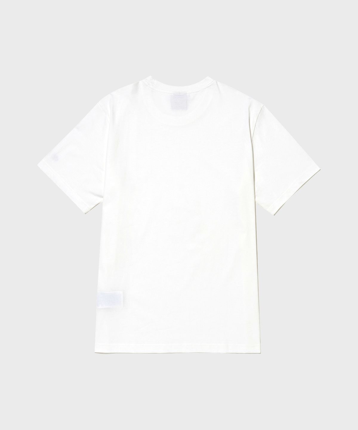 챔피온(CHAMPION) 베이직 반팔 티셔츠 2팩 White/Navy