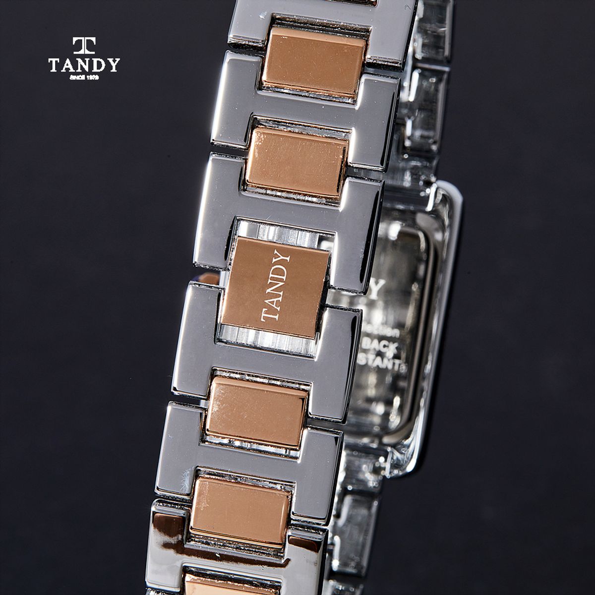 탠디(TANDY) 다이아몬드 고급메탈 손목시계 T-3912 M Combi