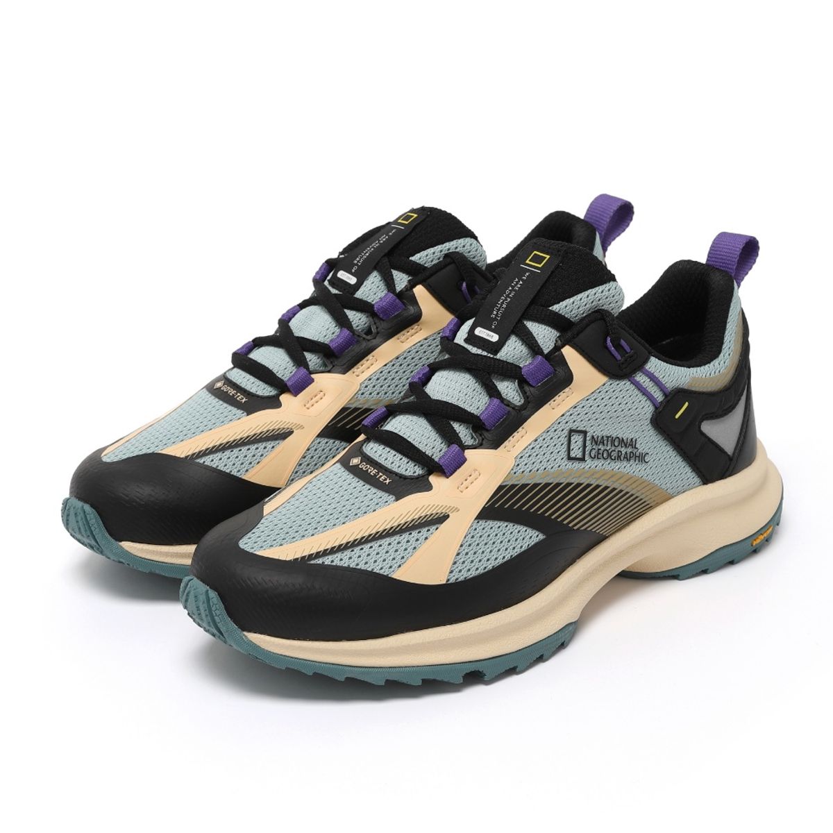 내셔널지오그래픽(NATIONALGEOGRAPHIC) N245USN018 마그마 GTX V2 BLUE