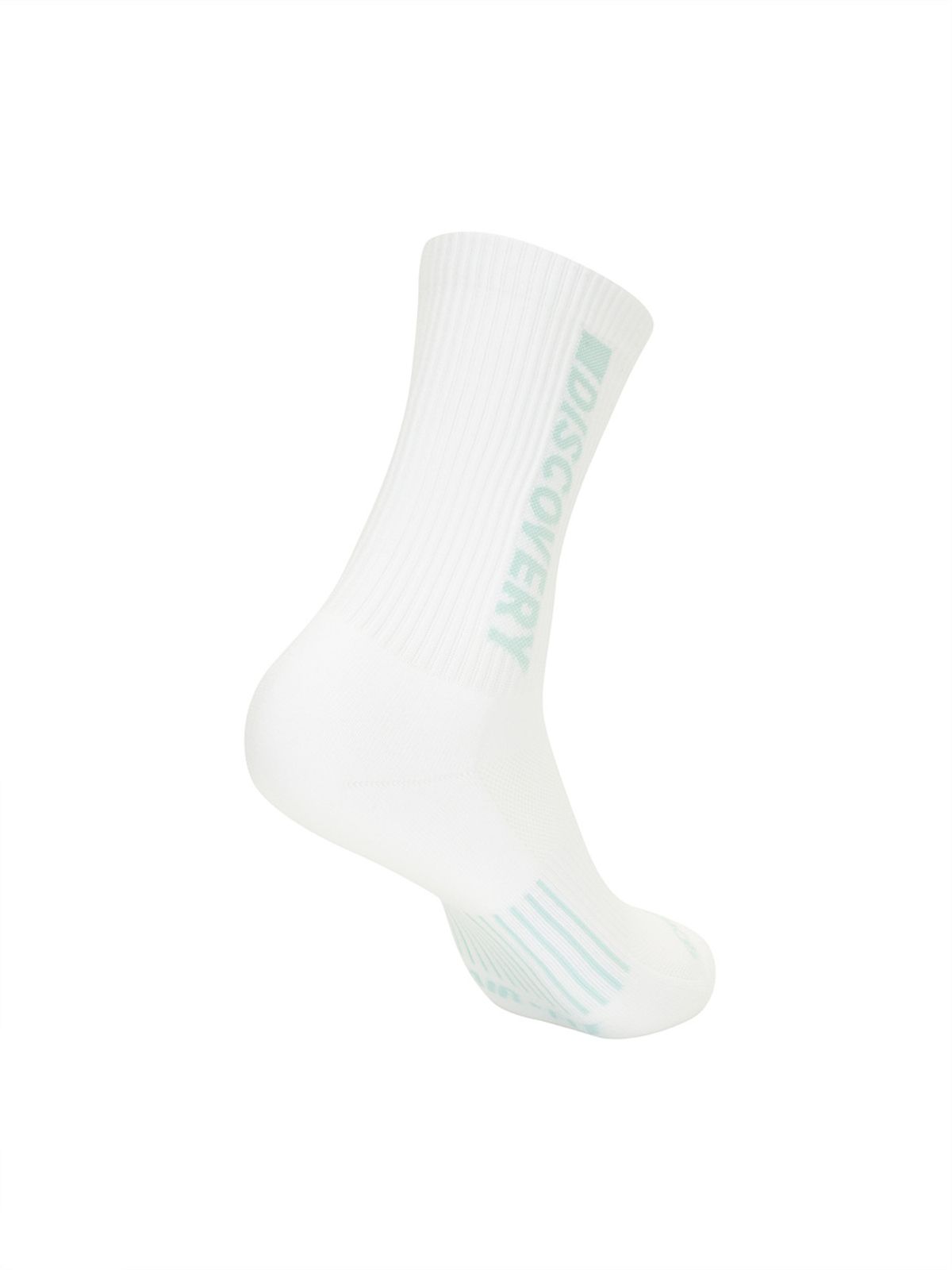 디스커버리 익스페디션(DISCOVERY EXPEDITION) 빅로고 바이오맥스 하이삭스 (L/BLUE)