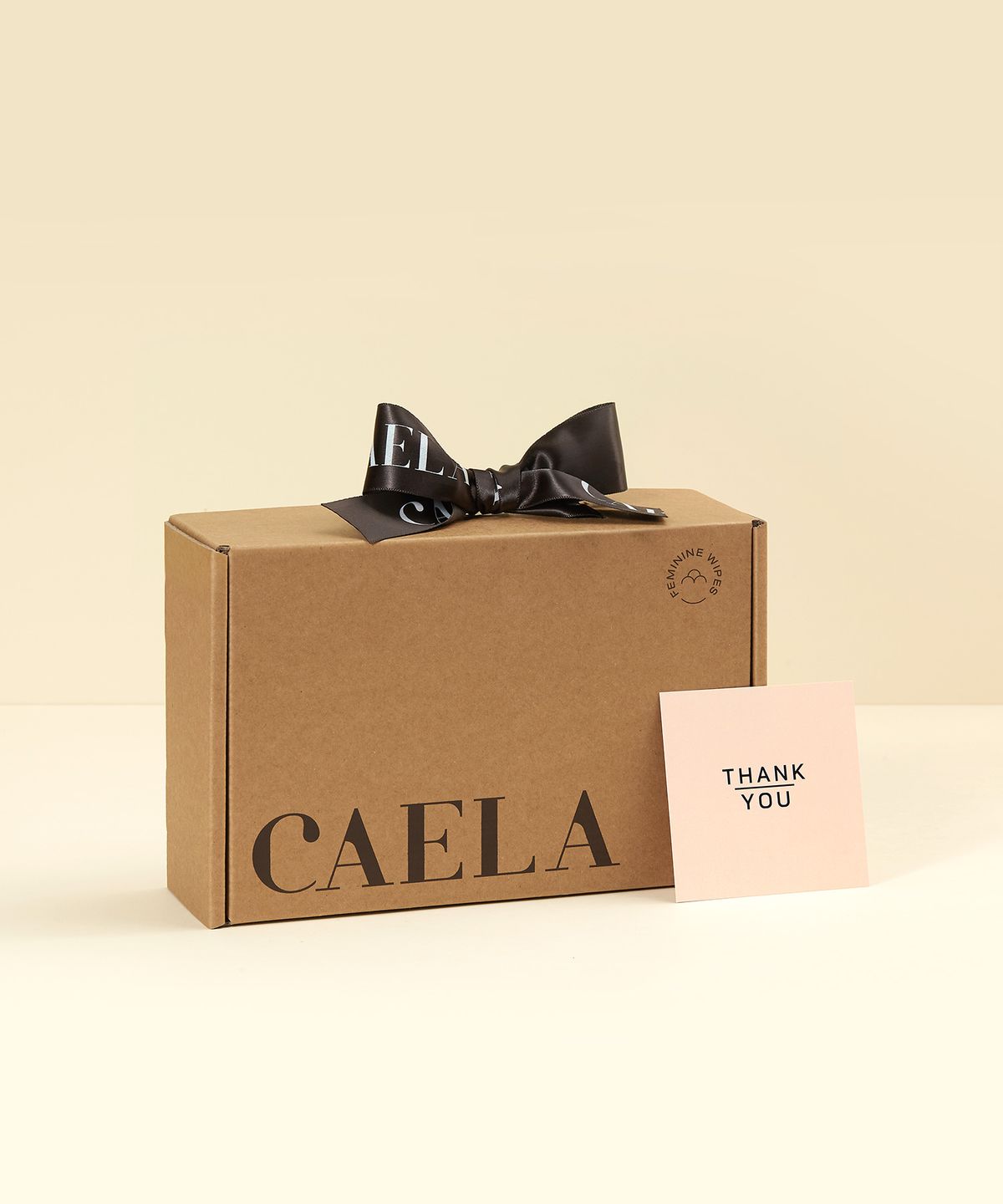 카엘라(CAELA) 여성청결제 기프트 세트 (청결제 젤타입 200ml + 청결티슈 15매)