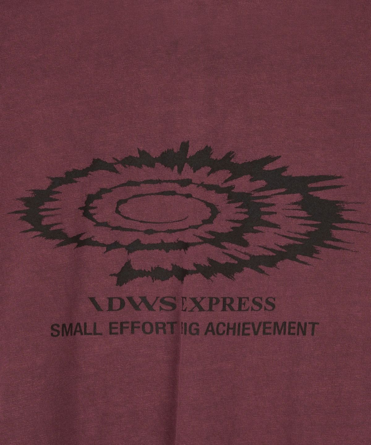 아이돈워너셀(IDWS) Swift Symbol Dying Long Sleeve Maroon