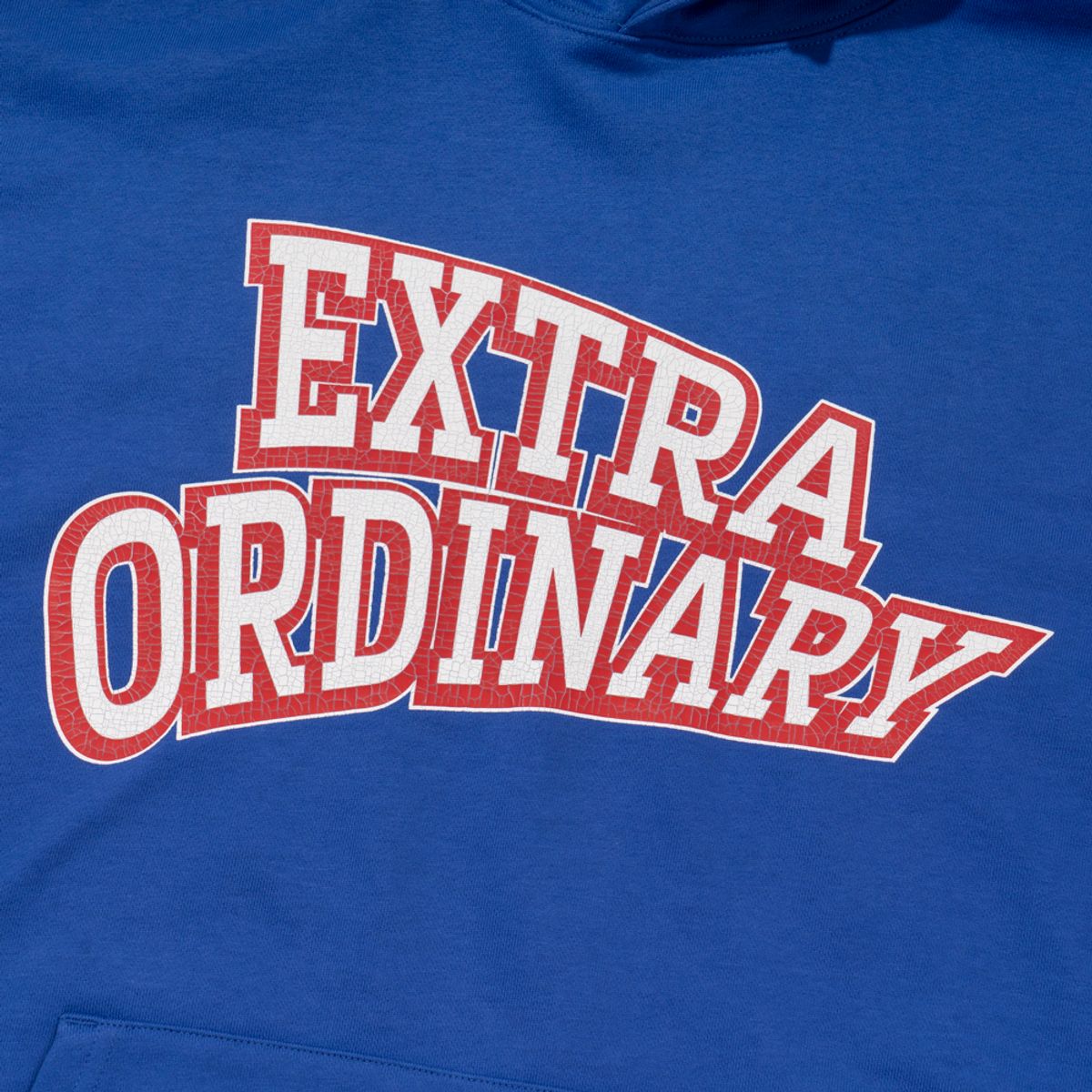 엑스트라오디너리(EXTRAORDINARY) EX ARCH LOGO PRINT HOODIE  BLUE