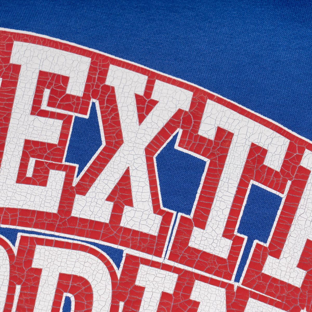 엑스트라오디너리(EXTRAORDINARY) EX ARCH LOGO PRINT HOODIE  BLUE