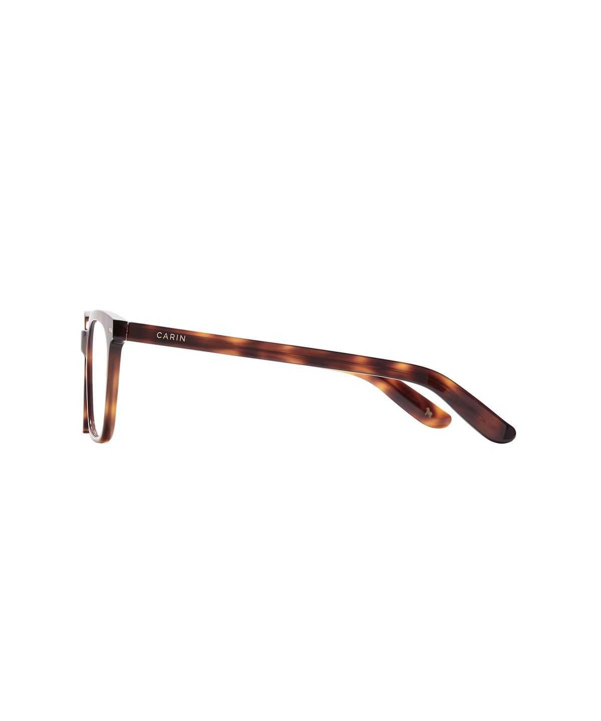 카린(CARIN) 람스S C2