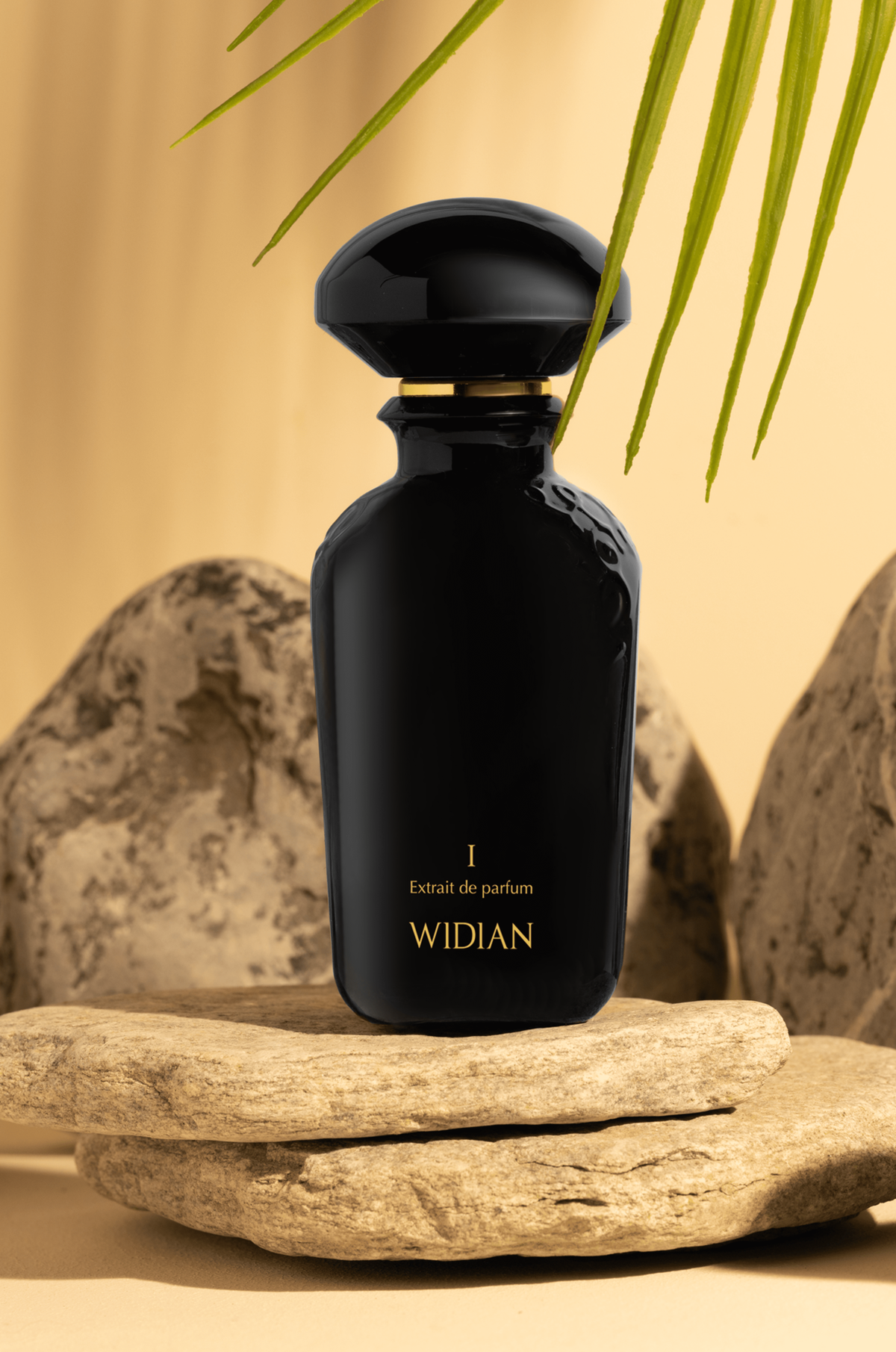 위디안(WIDIAN) 블랙 I