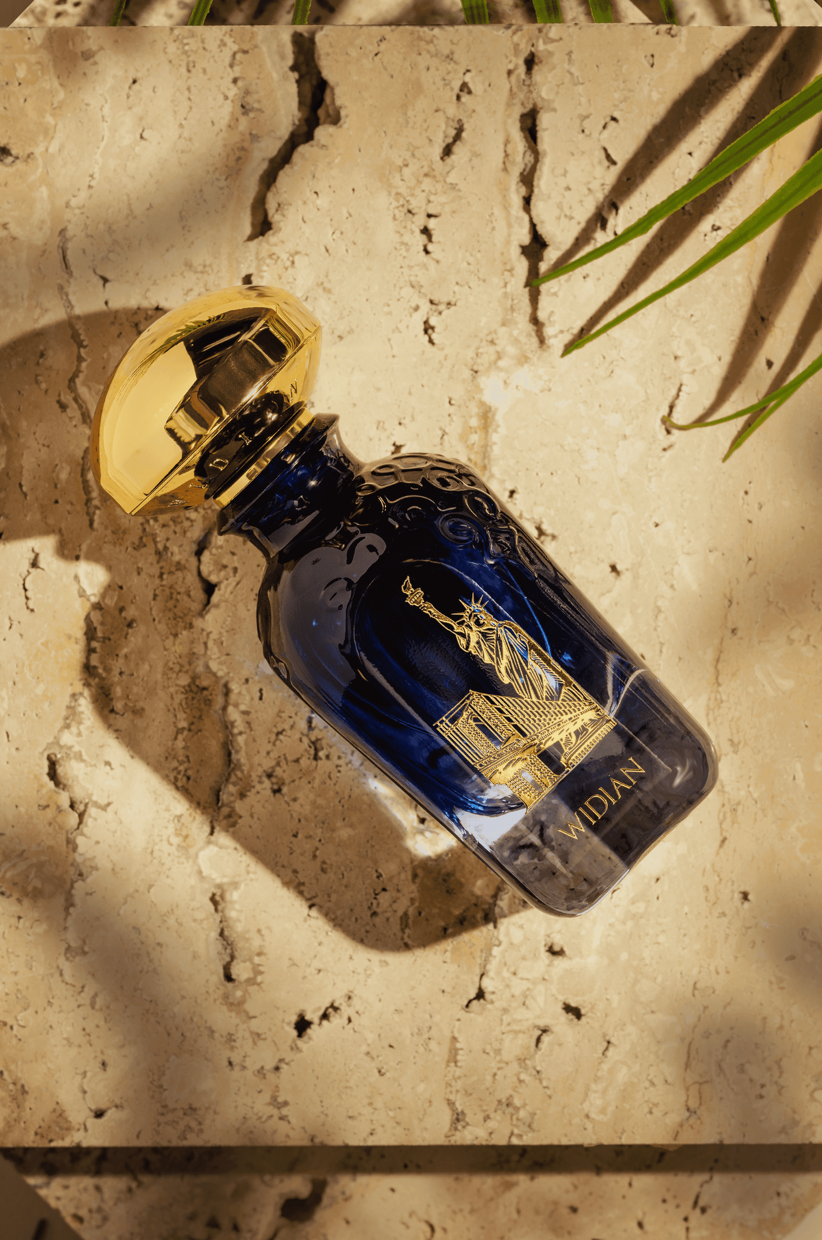 위디안(WIDIAN) 뉴욕