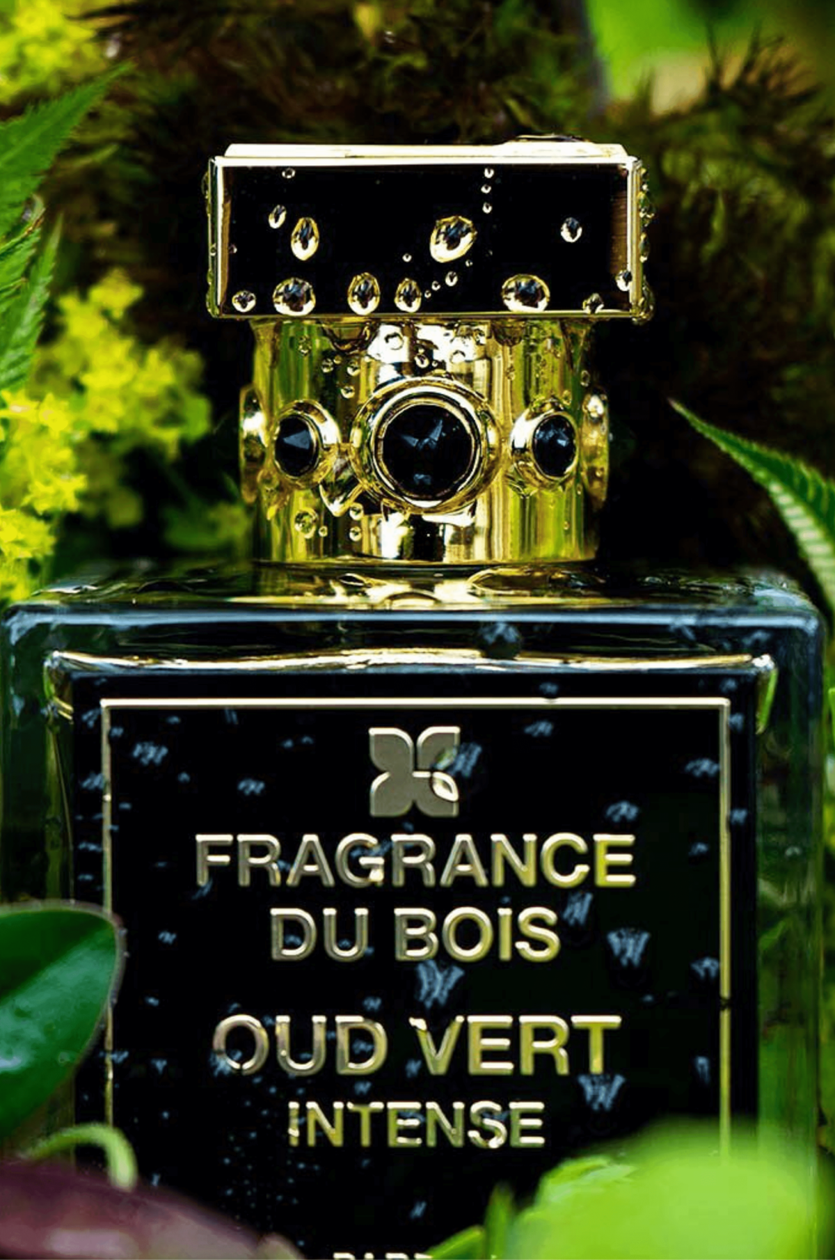 프래그런스 두 부아(FRAGRANCE DU BOIS) 오우드 베르 인텐스 50ml