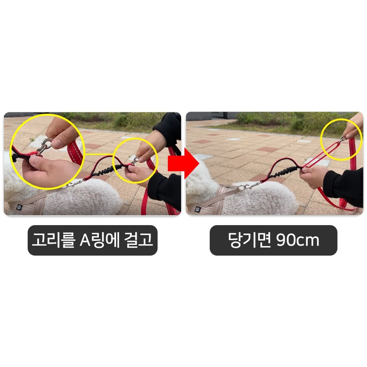멍템(MUNGTEM) 길이조절 폴딩 리드줄 1.8m 기본고리