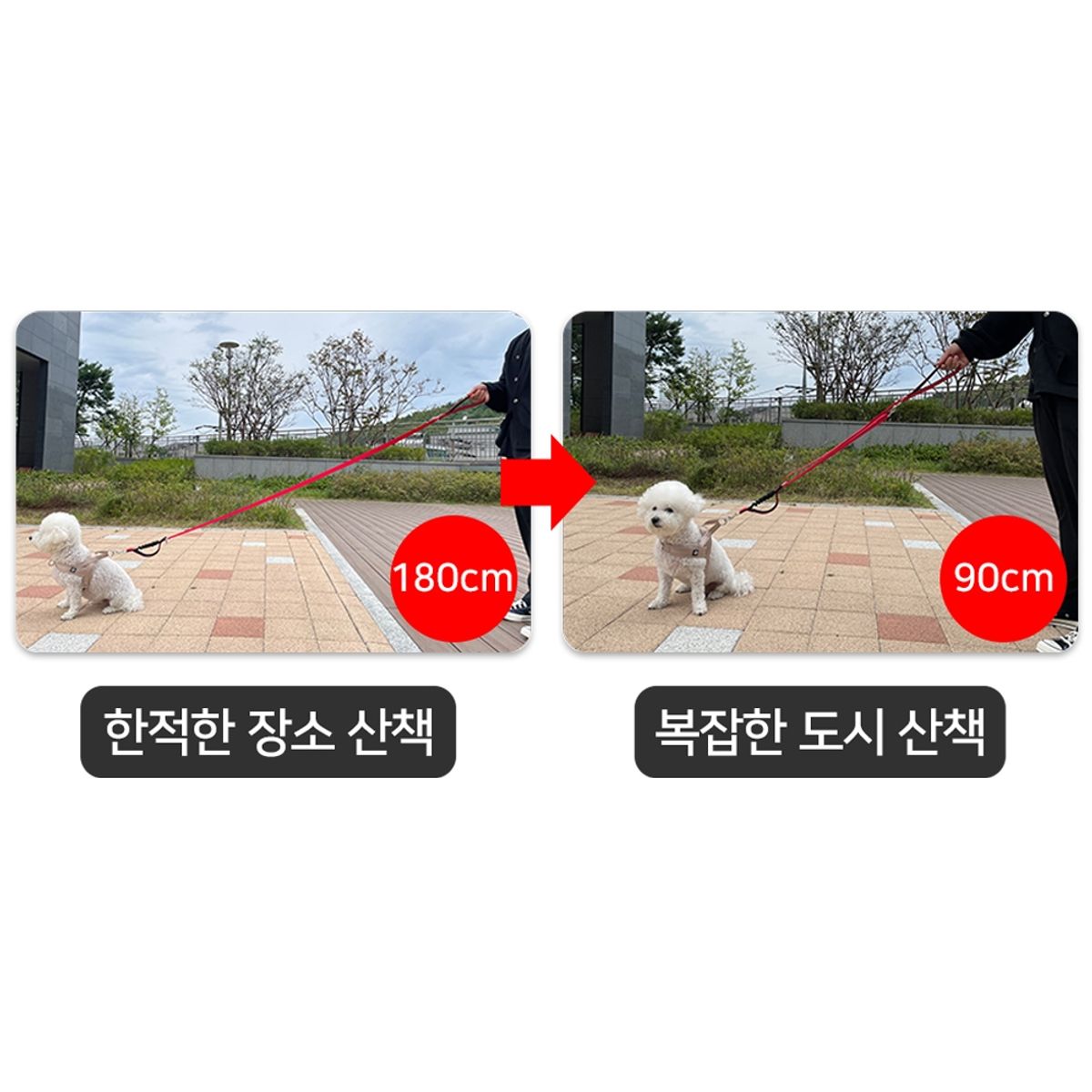 멍템(MUNGTEM) 길이조절 폴딩 리드줄 1.8m 기본고리