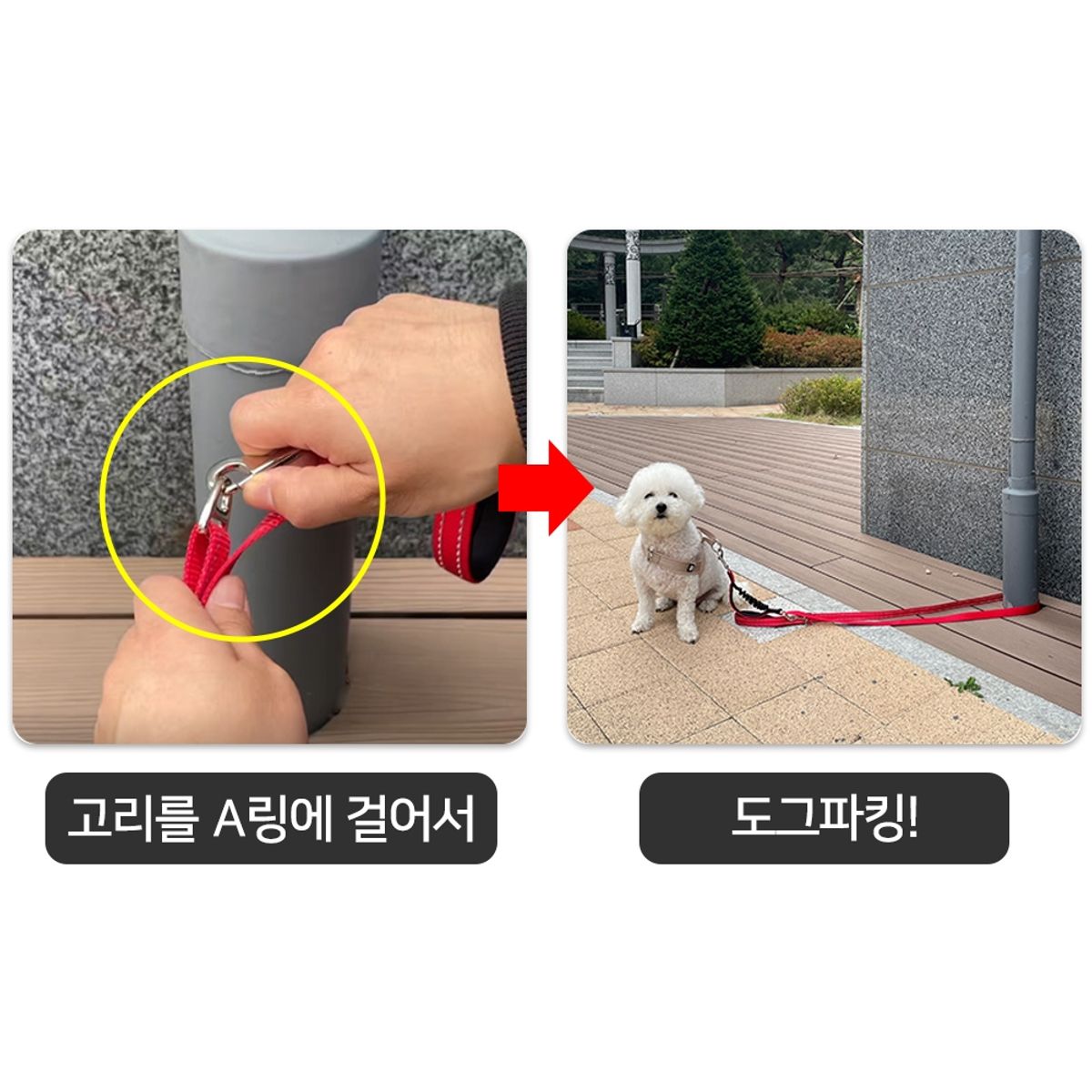 멍템(MUNGTEM) 길이조절 폴딩 리드줄 1.8m 기본고리
