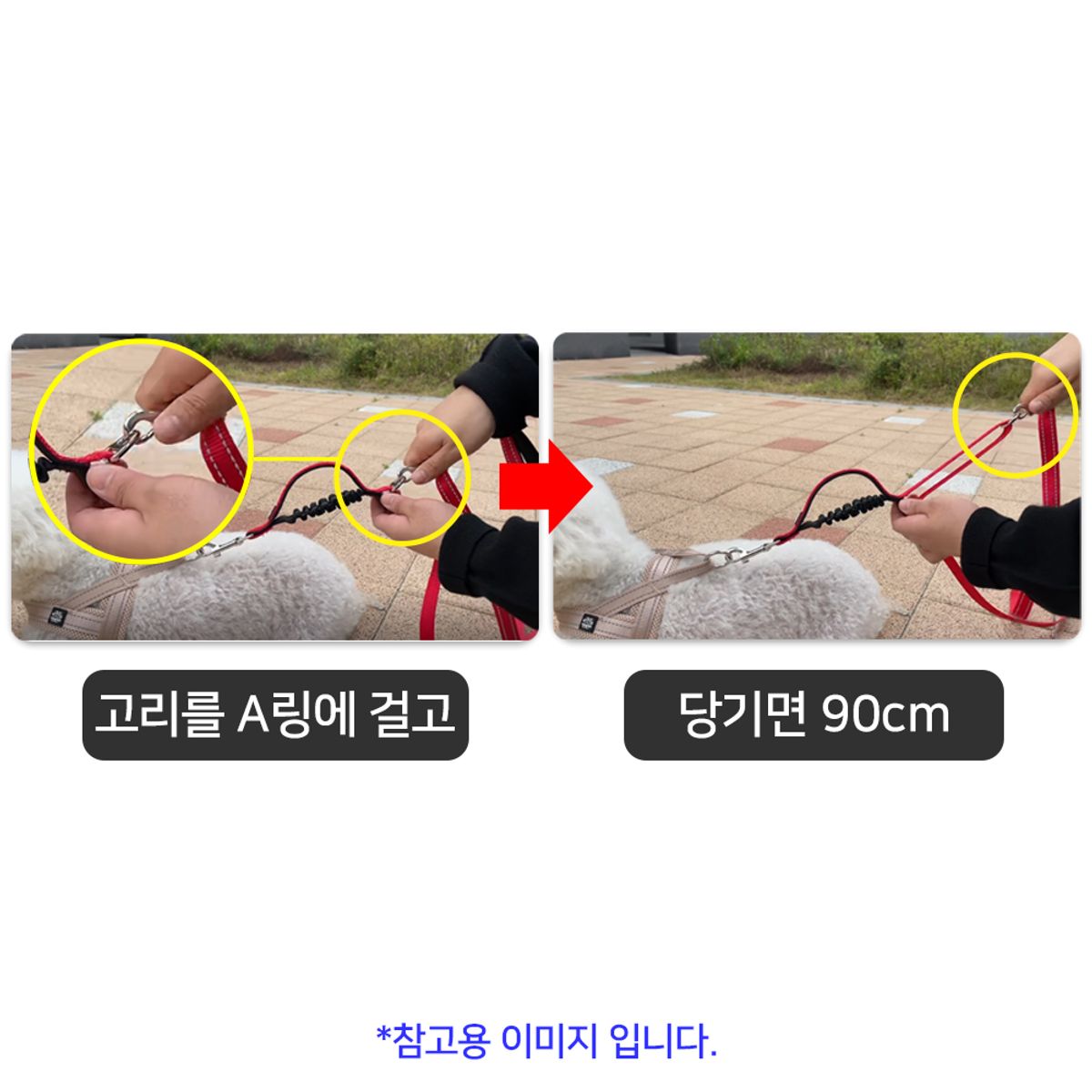 멍템(MUNGTEM) 길이조절 폴딩 리드줄 1.8m 강철고리