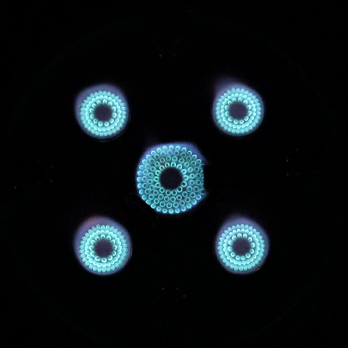 제라(JERA) 메인 스토브