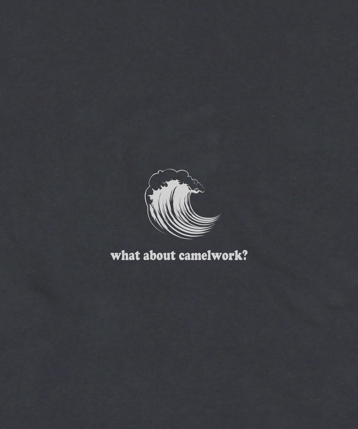 카멜워크(CAMEL WORK) 웨이크보드 반팔티셔츠(차콜)