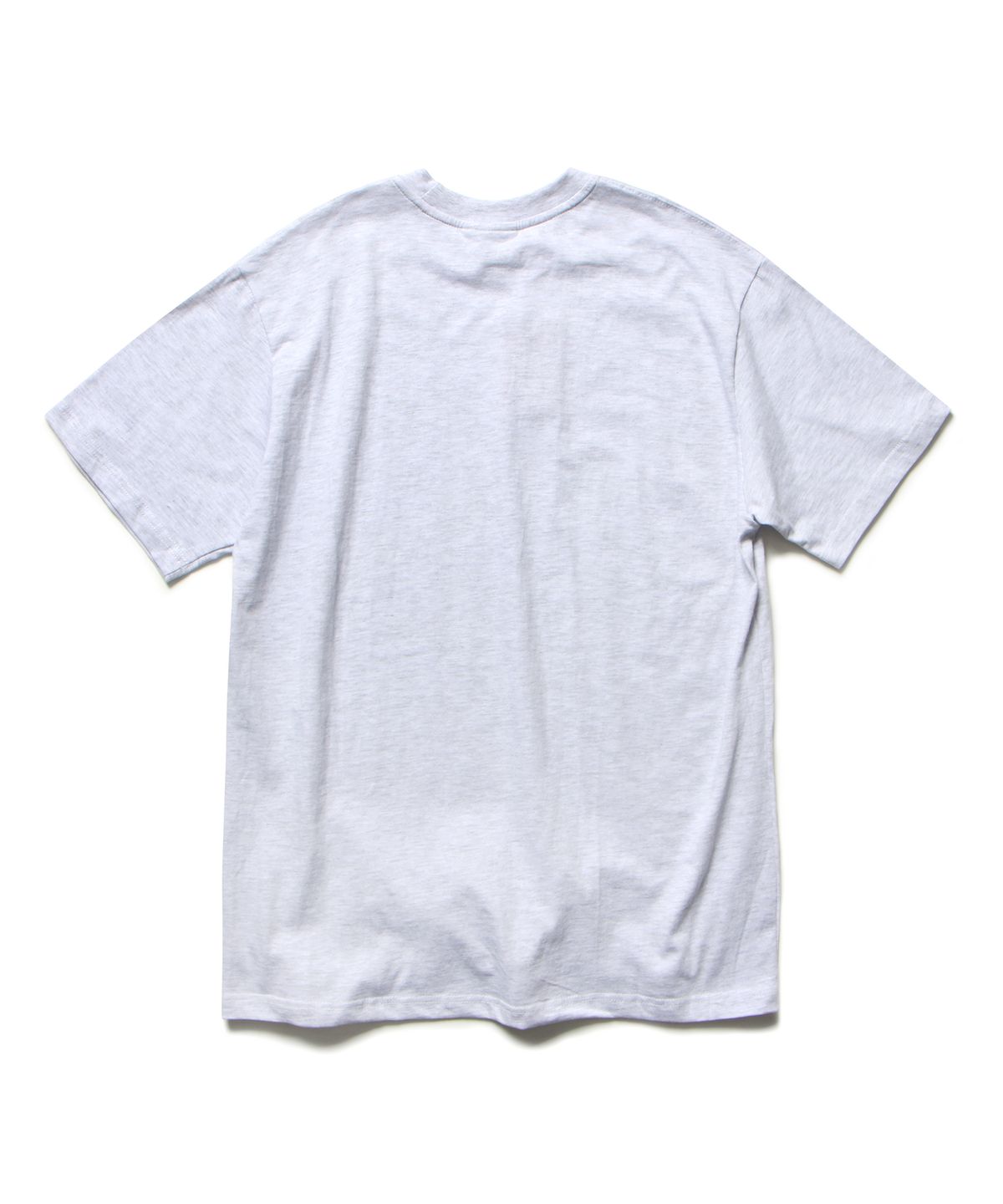 앱놀머씽(ABNORMALTHING) 심볼릭 플래그 티셔츠 라이트 그레이 (SYMBOLIC FLAG T-SHIRT LIGHT GREY)