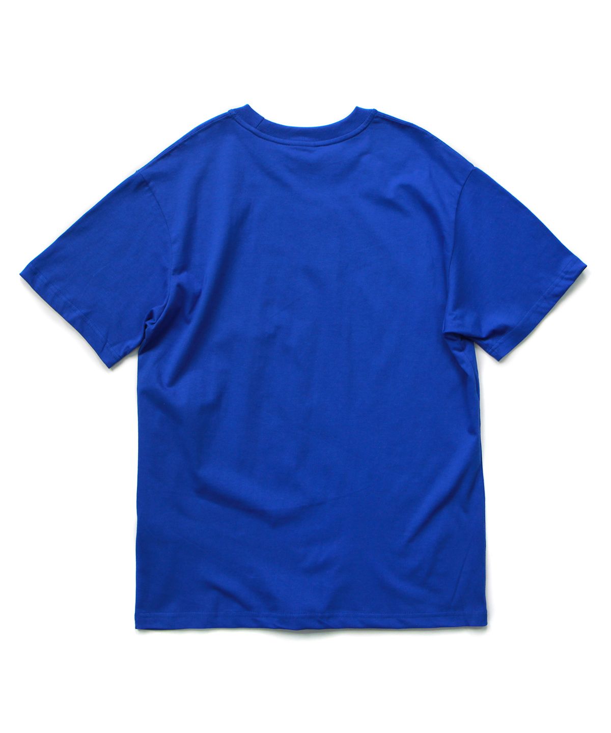 앱놀머씽(ABNORMALTHING) 심볼릭 플래그 티셔츠 블루 (SYMBOLIC FLAG T-SHIRT BLUE)