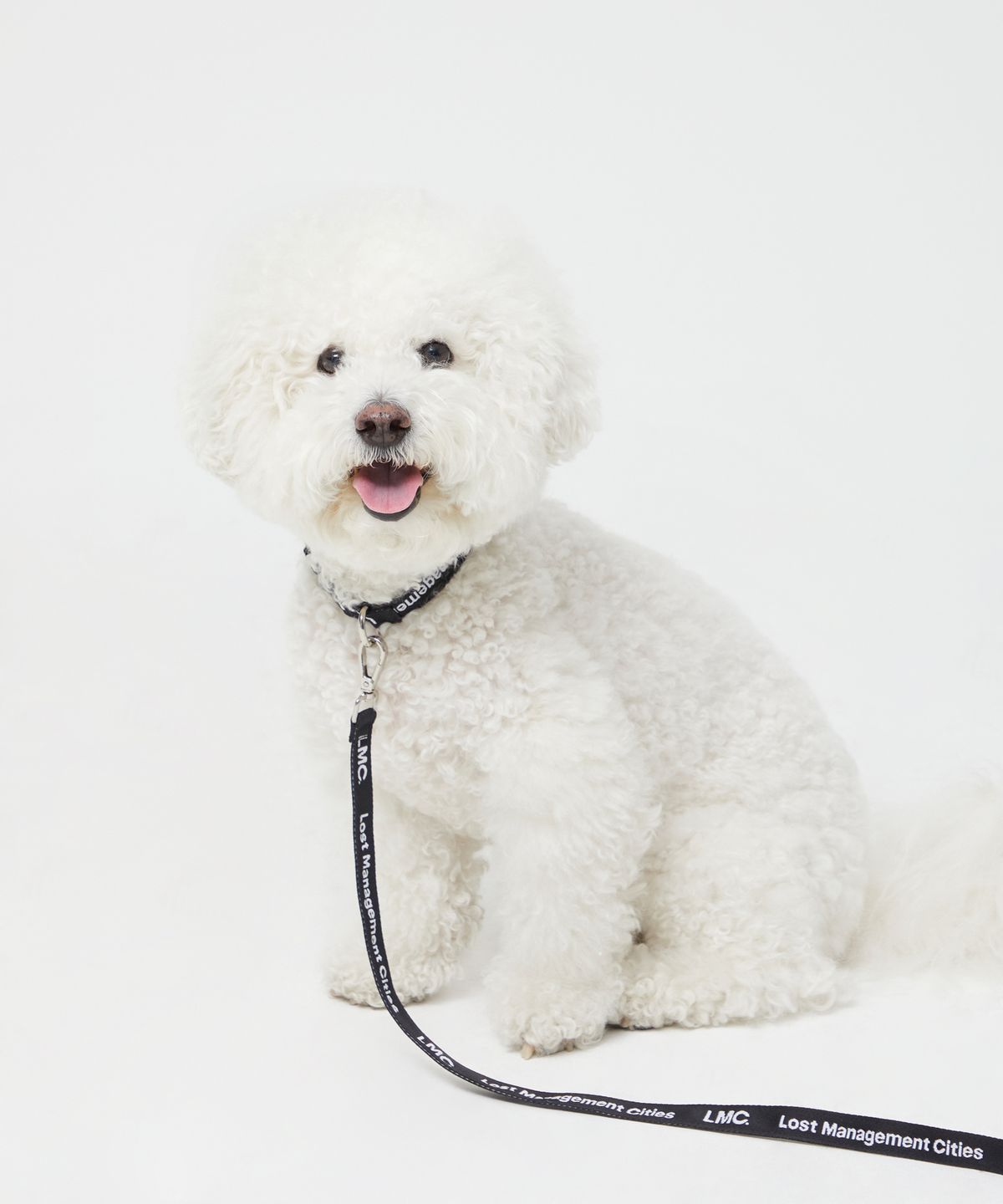 엘엠씨(LMC) LEASH & COLLAR black