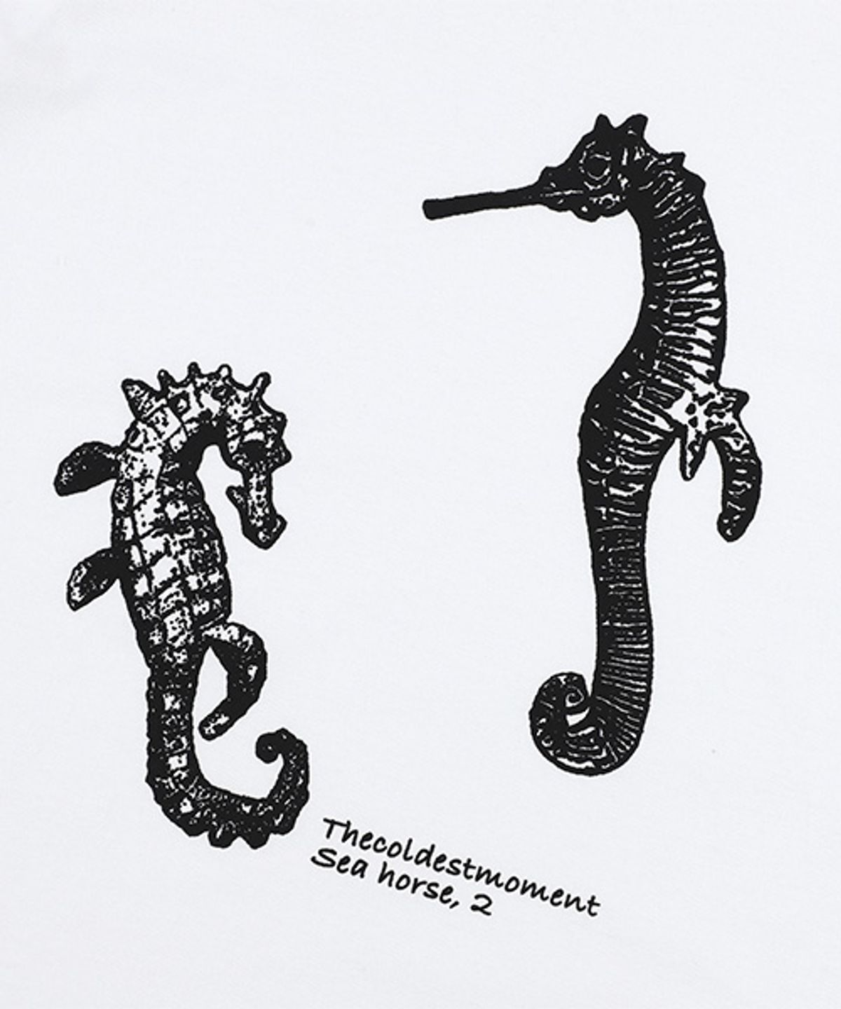 더콜디스트모먼트(THE COLDEST MOMENT) TCM sea horse T (white)