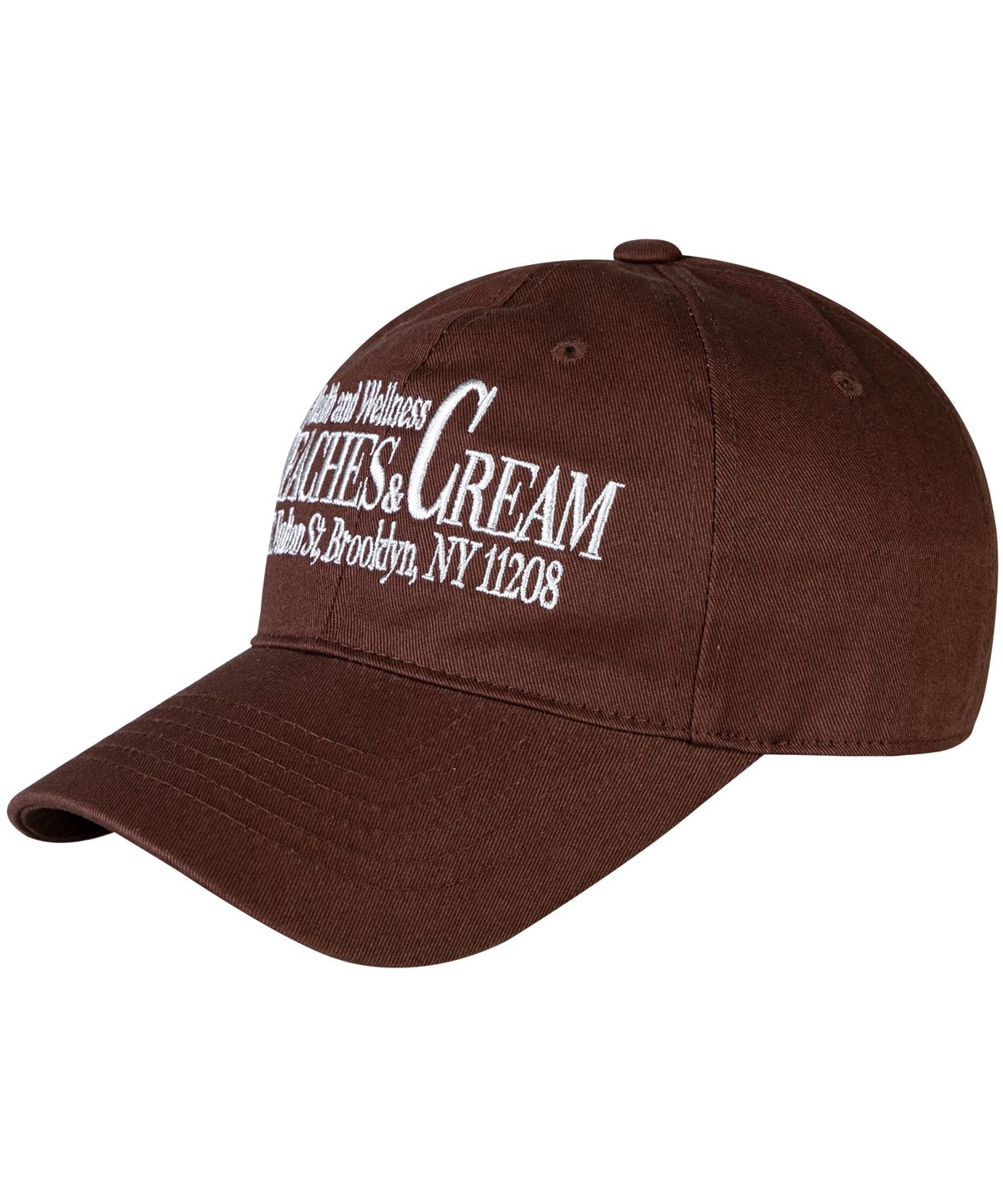 비치스앤크림(BEACHESANDCREAM) HEALTH AND WELLNESS BALL CAP-BROWN