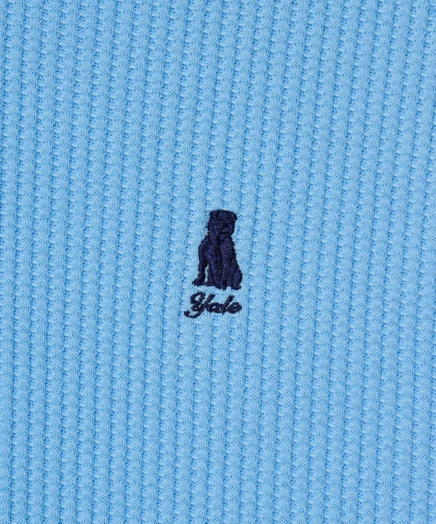 MUSINSA | YALE Sporty waffle collar t-shirt light blue