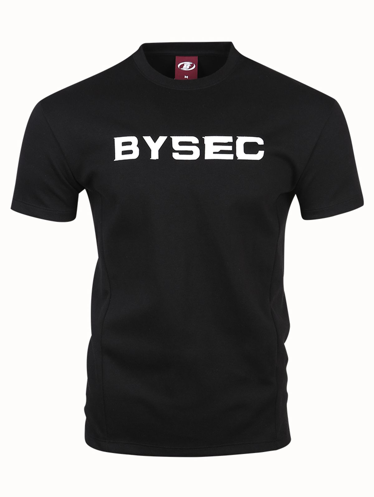 바이젝(BYSEC) [SET] 퍼펙트 특양면 빅로고 머슬핏 반팔 티셔츠_2Color
