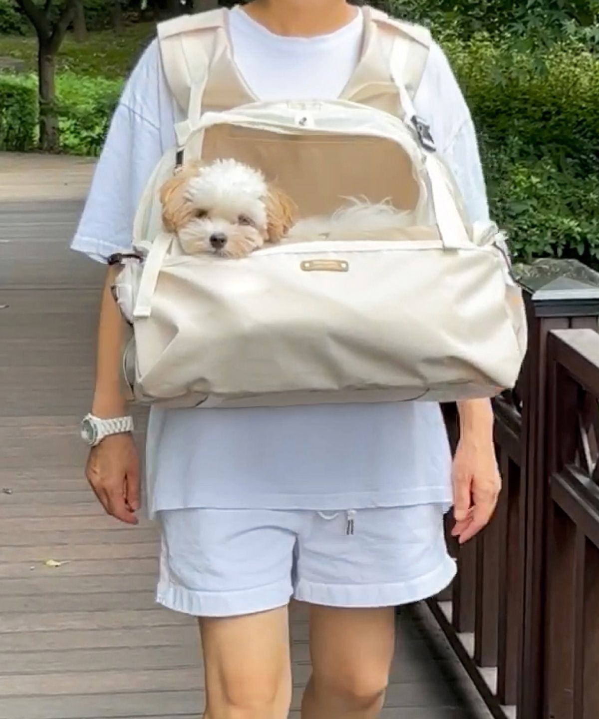 뽀뇨 소소한즐거움(PPONYO LITTLETHINGS) 소형 반려동물 카시트 멜빵가방 멜카백