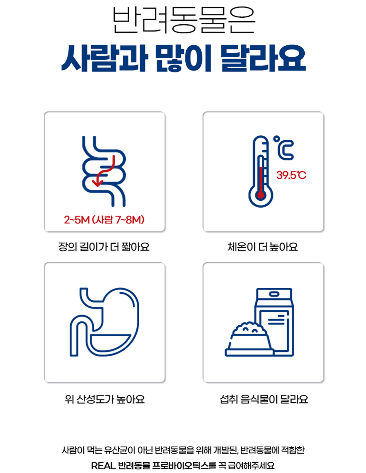 르뻬떼(LEPETTE) 네츄럴 바이오틱스 강아지 고양이 반려동물 유산균  30포