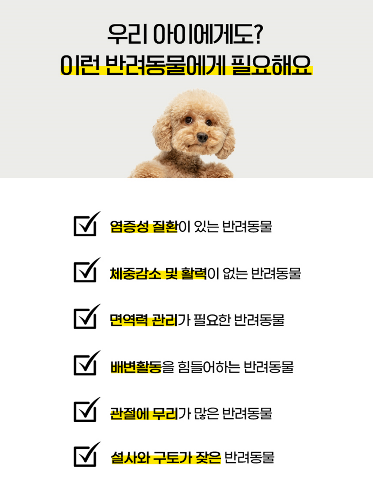 르뻬떼(LEPETTE) 네츄럴 바이오틱스 강아지 고양이 반려동물 유산균  30포