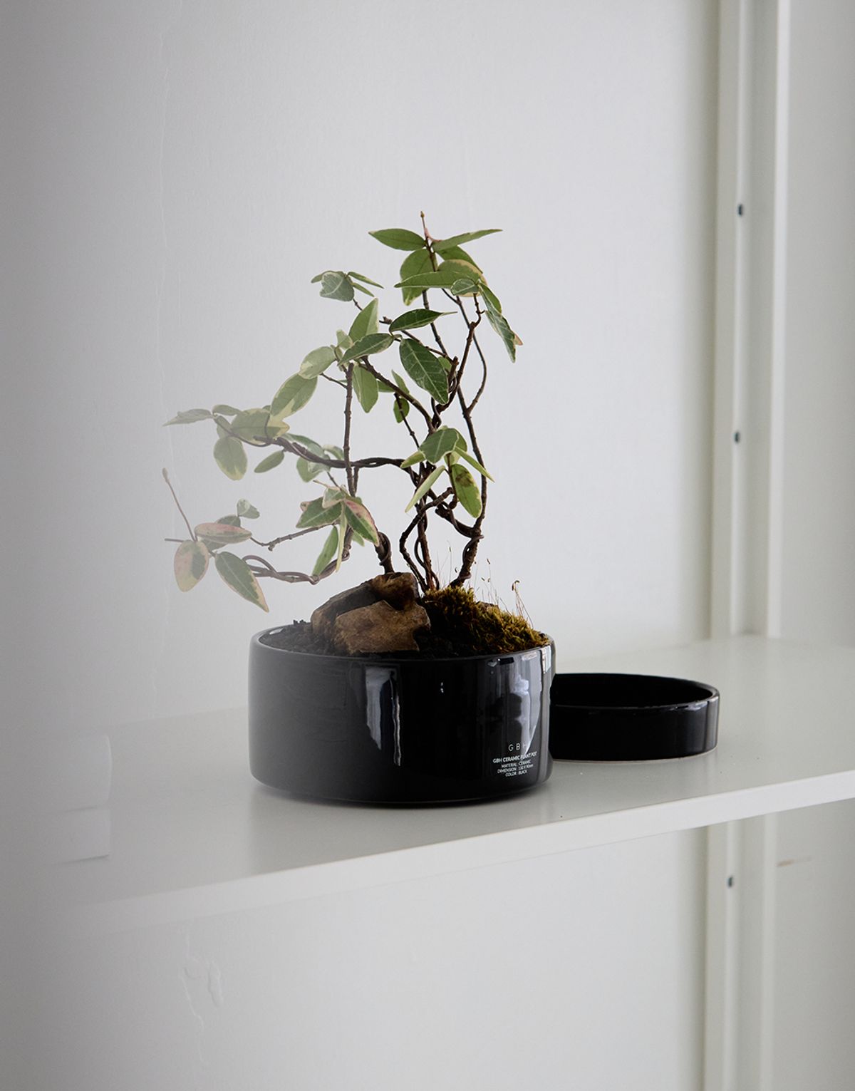 지비에이치 홈(GBH HOME) CERAMIC PLANT POT BLACK 세라믹 화분