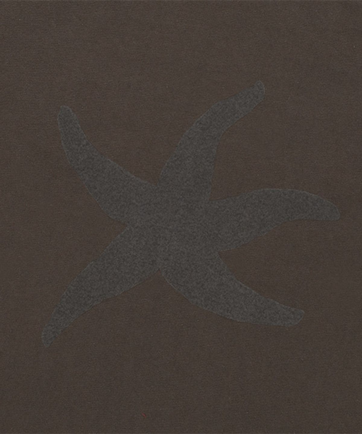 더콜디스트모먼트(THE COLDEST MOMENT) TCM starfish logo crop T (brown)