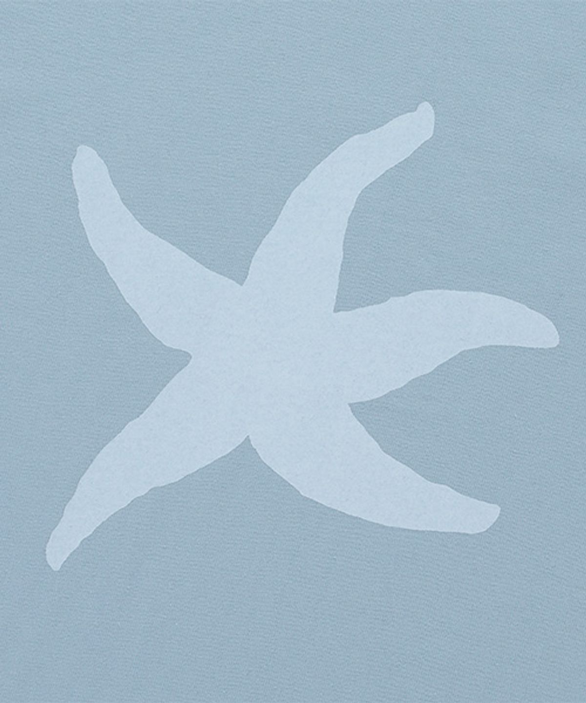 더콜디스트모먼트(THE COLDEST MOMENT) TCM starfish logo crop T (sky blue)