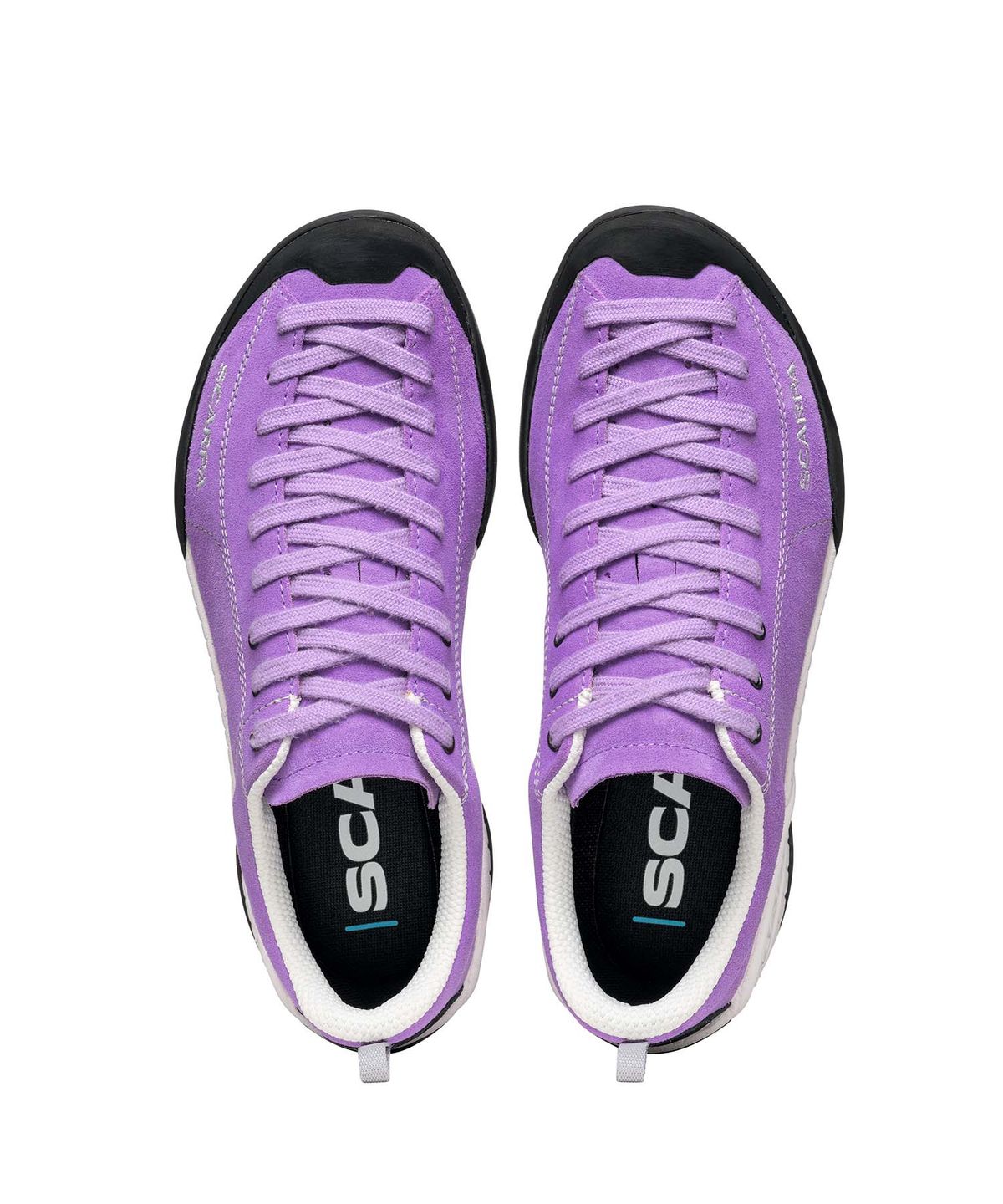 스카르파(SCARPA) 모히토 - VIOLET TULIP / DFOXU32605