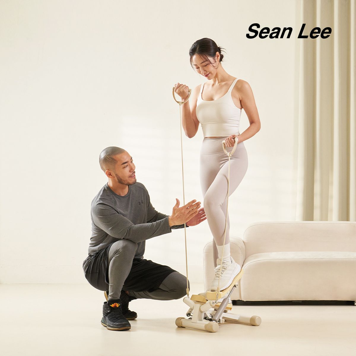 숀리(SEAN LEE) 파워 트위스트 스텝퍼 ST-8720