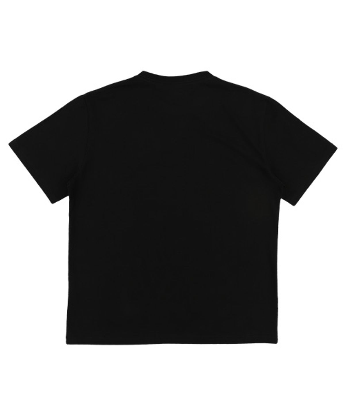 더콜디스트모먼트(THE COLDEST MOMENT) TCM colosseum T (black)