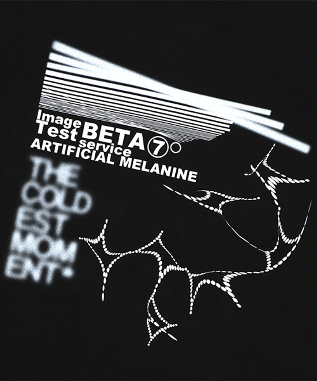 더콜디스트모먼트(THE COLDEST MOMENT) TCM melanine T (black)