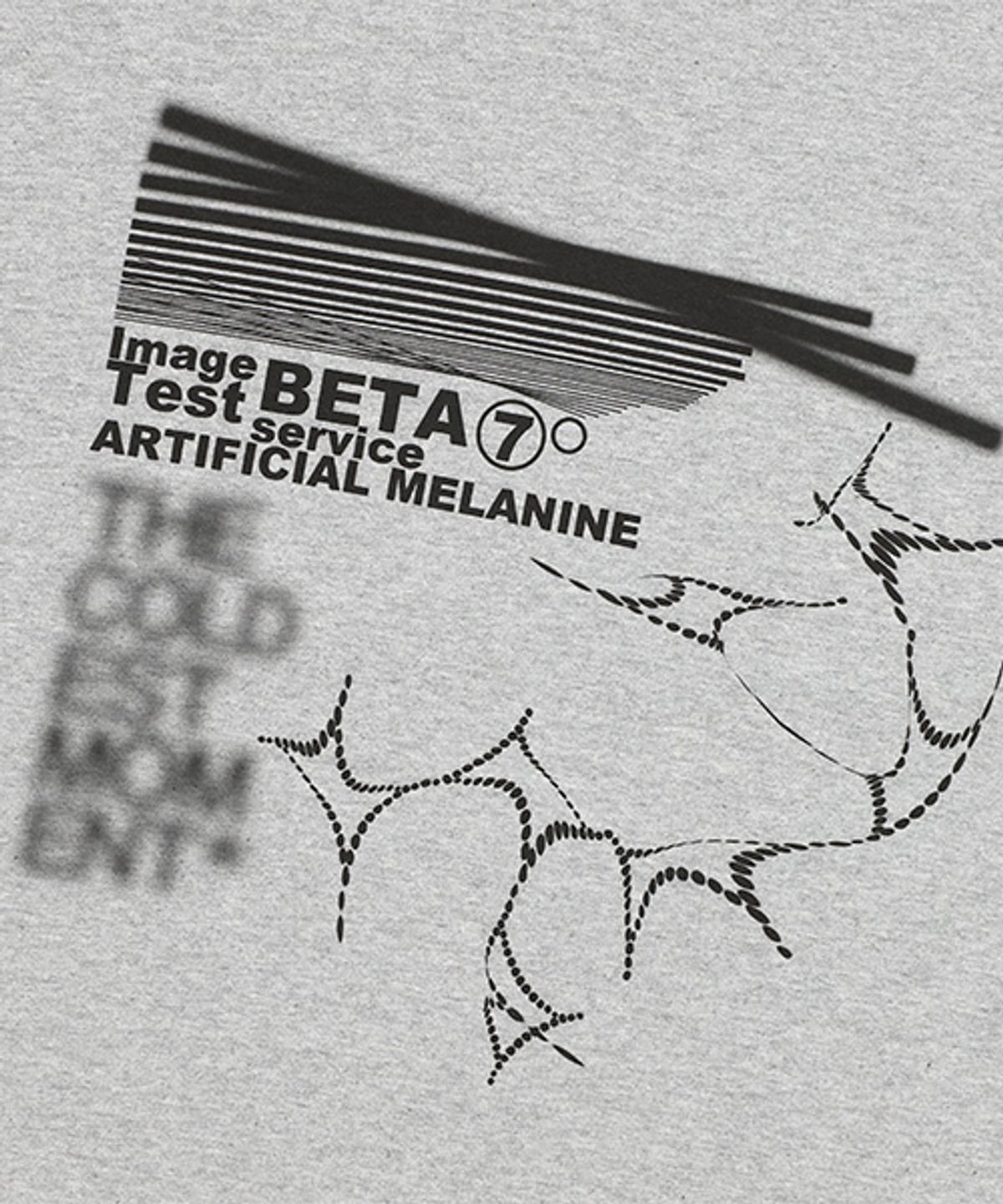 더콜디스트모먼트(THE COLDEST MOMENT) TCM melanine T (grey)