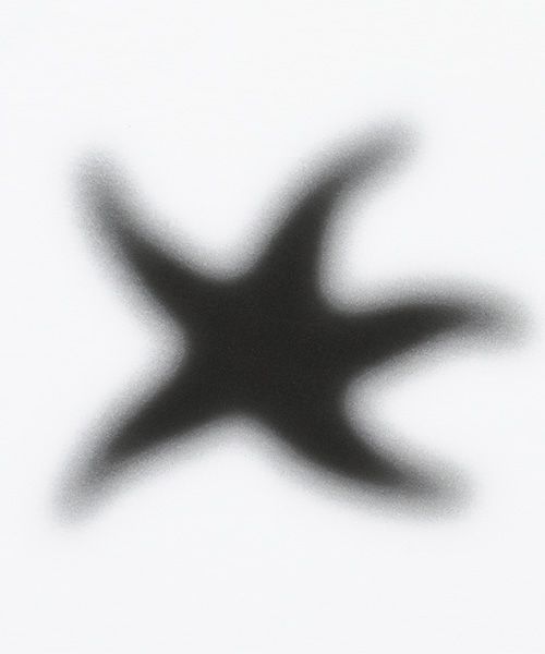 Tシャツ・カットソー THE COLDEST MOMENT TCM cloudy starfish linger T whiteblack MUSINSA公式 | THE COLDEST MOMENT TCM cloudy starfish linger