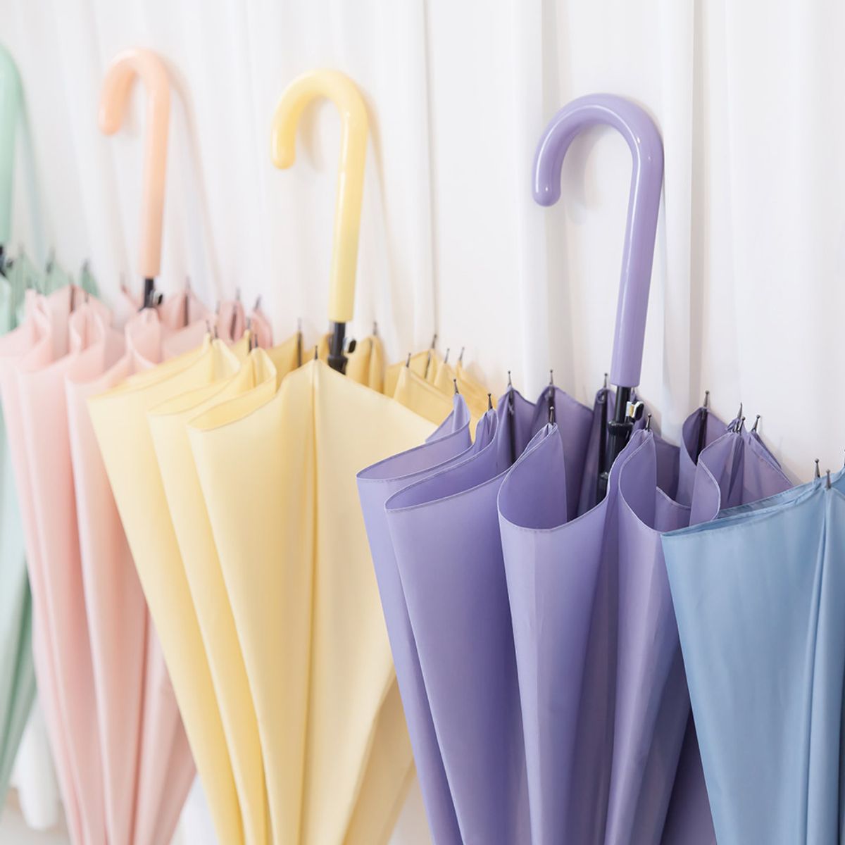 세인트스코트 우산(SAINT SCOTT UMBRELLA) 수채화 12살대 자동 장우산 - 8COLOR