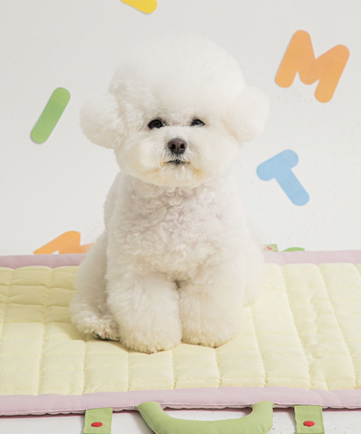 바잇미(BITEME) 컴팩트 피크닉매트 (2 colors)