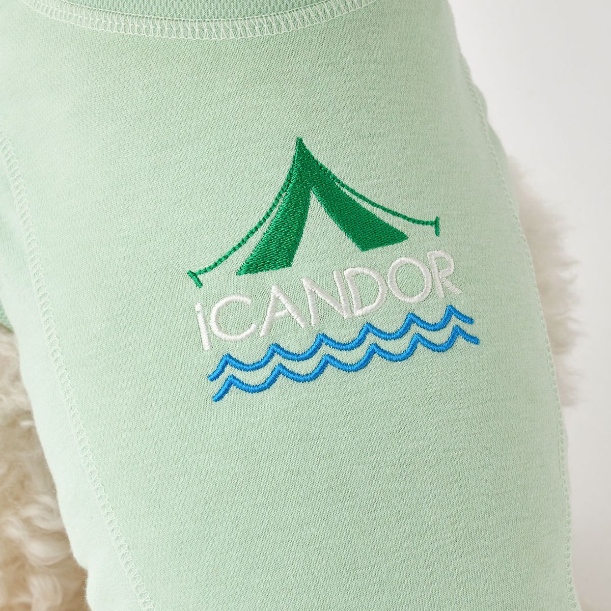 아이캔더(ICANDOR) 네이처 탑_민트